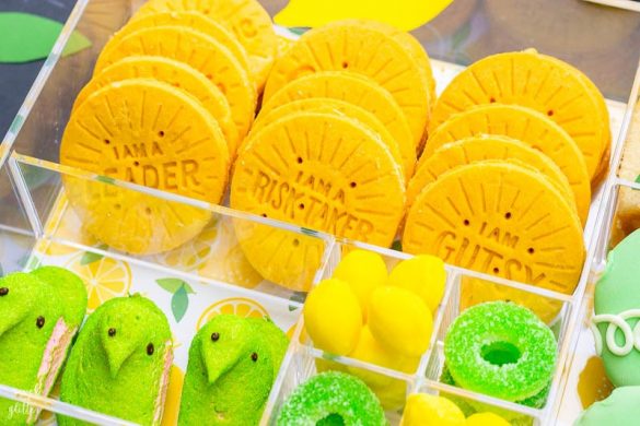Girl Scout Cookie Season + Lemon-Ups Treat Box