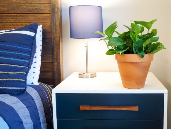 Plants That Help Purify The Air In Your Home