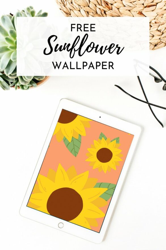 Sunflower Wallpaper For Desktops, Tablets and Phones.