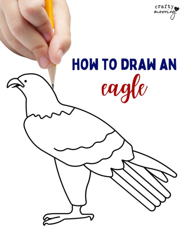 How to Draw an Eagle (Step by Step Printable)