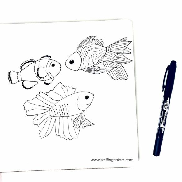 Fish Drawing Step by Step