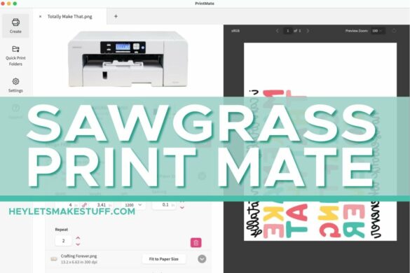 The Ultimate Guide to Sawgrass PrintMate