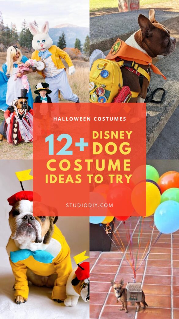Disney Dog Costume Ideas