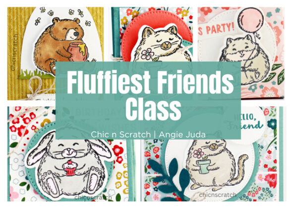 Fluffiest Friends Class