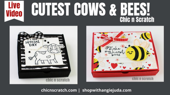 Cutest Cows and Free Shipping