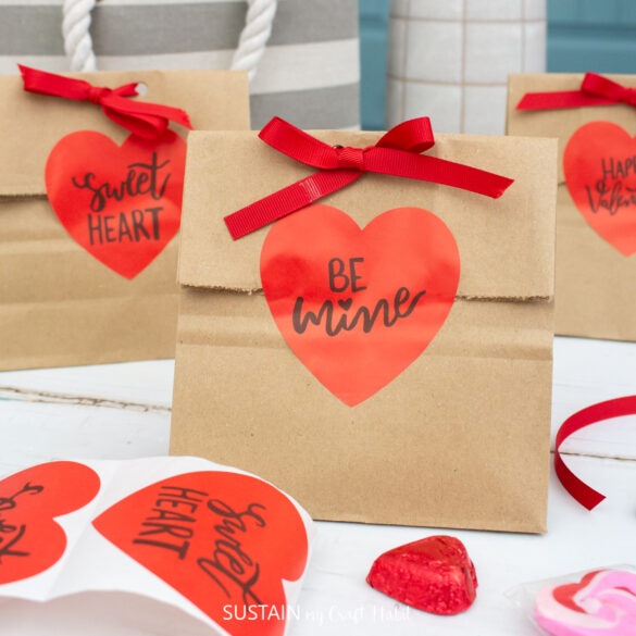 DIY Valentines Treat Bags with Munbyn