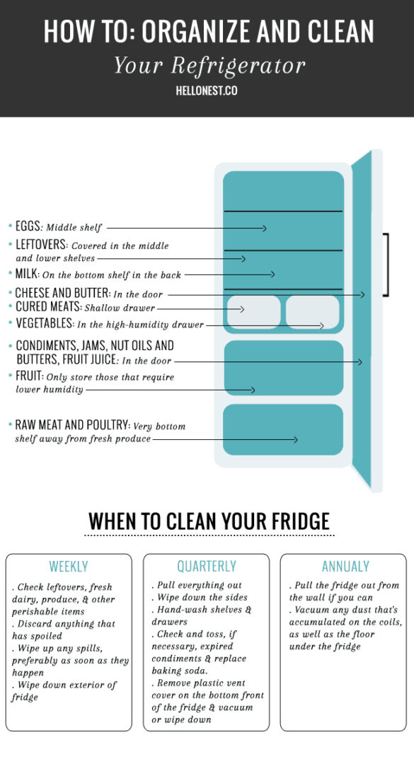 Guide to Refrigerator Storage