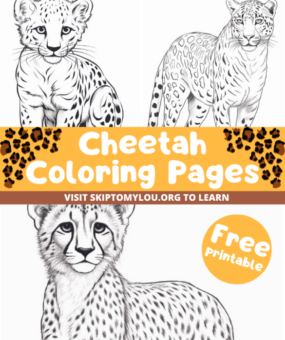 Cheetah Coloring Pages – Free Printables to Download