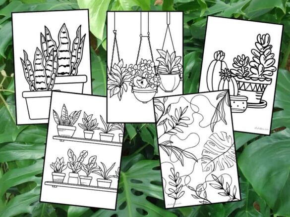 Unconventional 34 Plant Coloring Pages That Will Spark Your Creativity