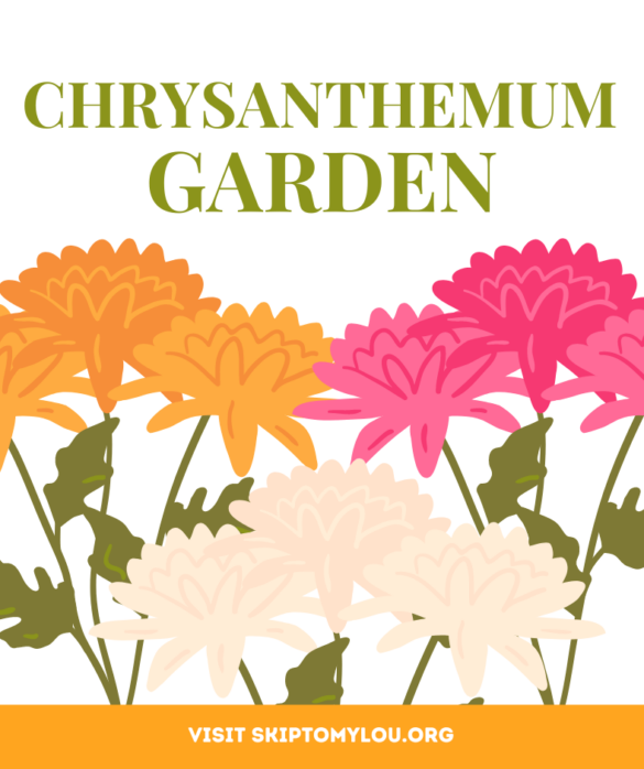 10 Useful Tips for Growing Your Own Chrysanthemum Garden